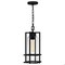 Quoizel Damien 1-Light Earth Black Outdoor Hanging Lantern DMN1907EK - alternate 1